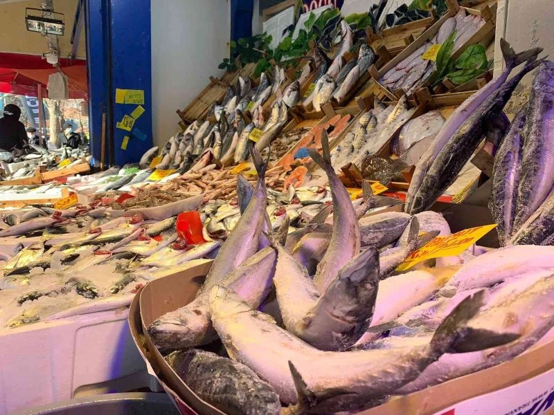 Lodos balık tezgahlarını da etkiledi
