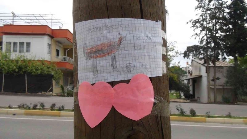 ’Ponçik’ için yürekleri ısıtan kayıp ilanı
