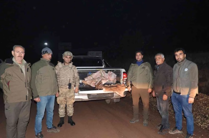 Yabani dağ keçisini vuran şahsa 63 bin TL ceza
