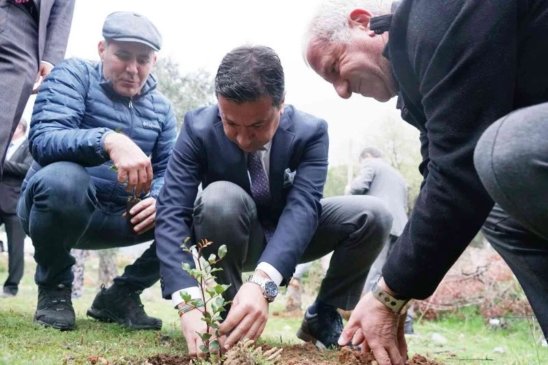 Üreticilere 20 bin adet keçiboynuzu fidanı dağıtıldı
