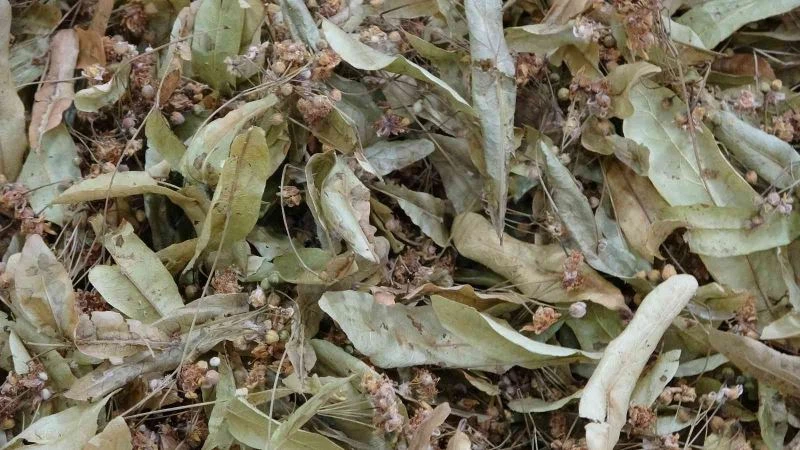 Kış aylarında bitki çayları ilgi görüyor
