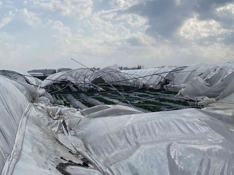 2 gün sonra hasat yapılacak seralar, fırtınada yerle bir oldu
