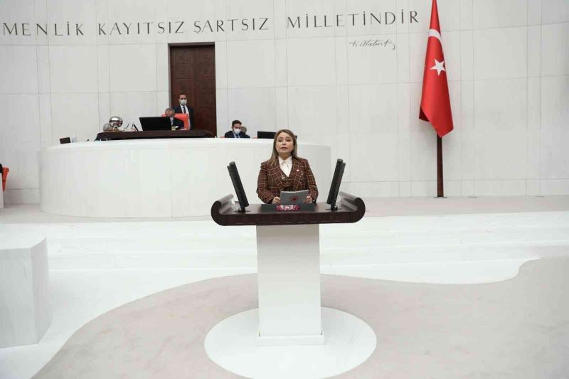 Milletvekili Aydemir: 