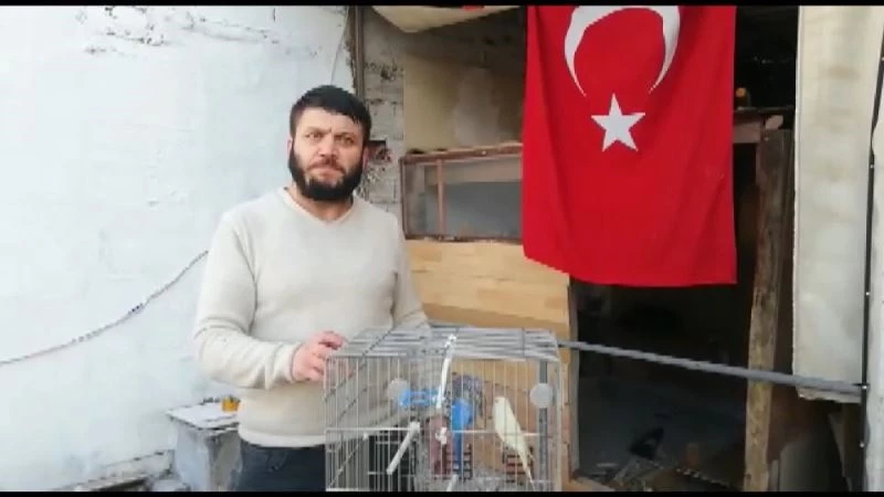 (Özel) Bursa’da kafesinden kaçan muhabbet kuşları için itfaiye seferber oldu
