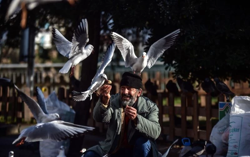 Her gün elleriyle martılara ve güvercinlere profiterol yediriyor
