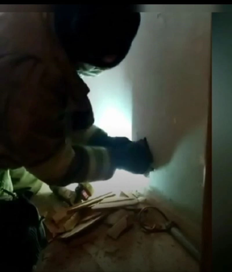 İzmir’de duvarda sıkışan kedi itfaiye tarafından kurtarıldı
