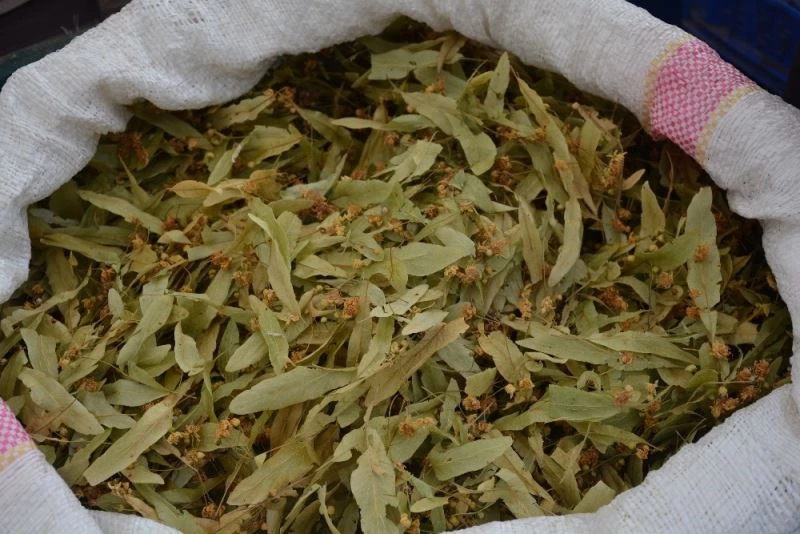 Vatandaş ıhlamuru artık gramla alıyor
