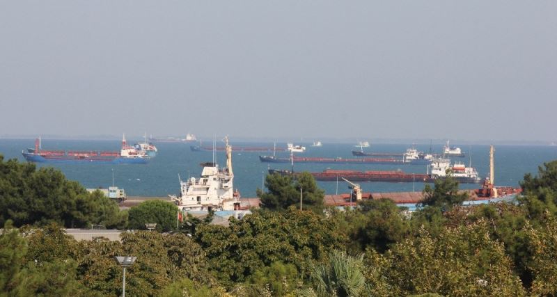 Samsun’dan Uzak Doğu ve Arabistan yarımadasına deniz salyangozu ihracatı
