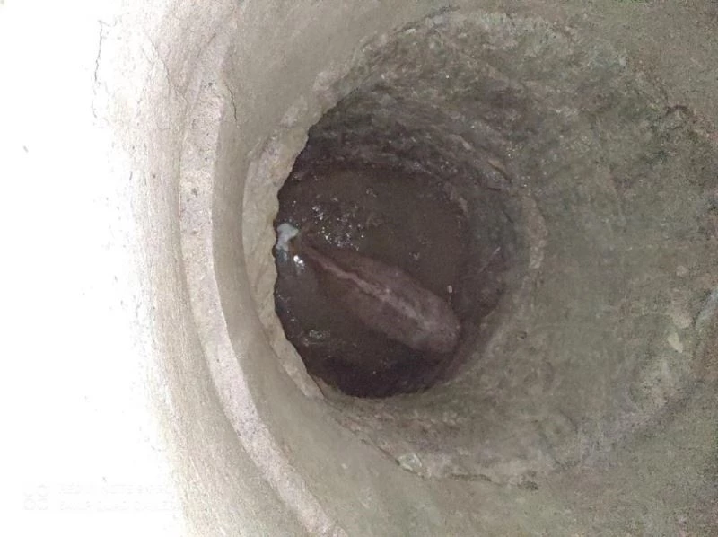 500 kiloluk inek düştüğü kuyudan vinç yardımıyla kurtuldu
