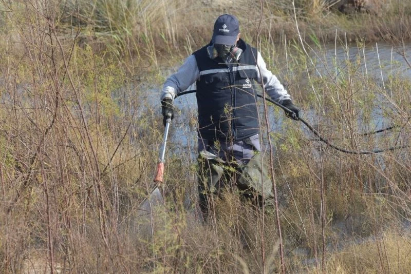 Aliağa’da sivrisinek mücadelesi başladı
