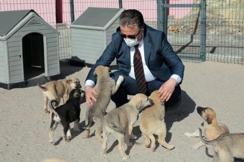 Başkan Savran, Hayvan Kasabasında incelemelerde bulundu
