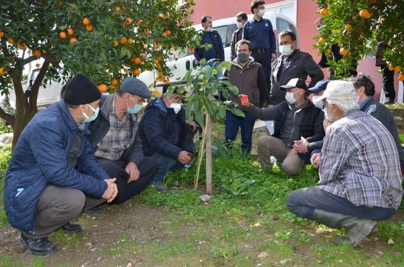 Büyükşehir Belediyesinden  Alanyalı çiftçilere uygulamalı eğitim
