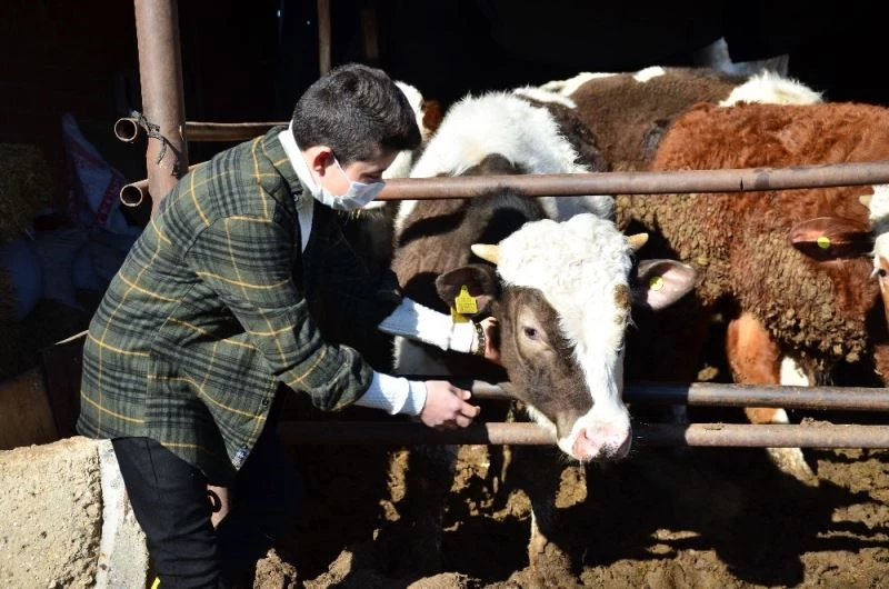 Dedesinin hediye ettiği civcivlerden 221 hayvanlık çiftliğe ulaştı
