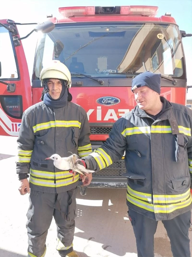Kanala düşen yaralı martıyı itfaiye kurtardı
