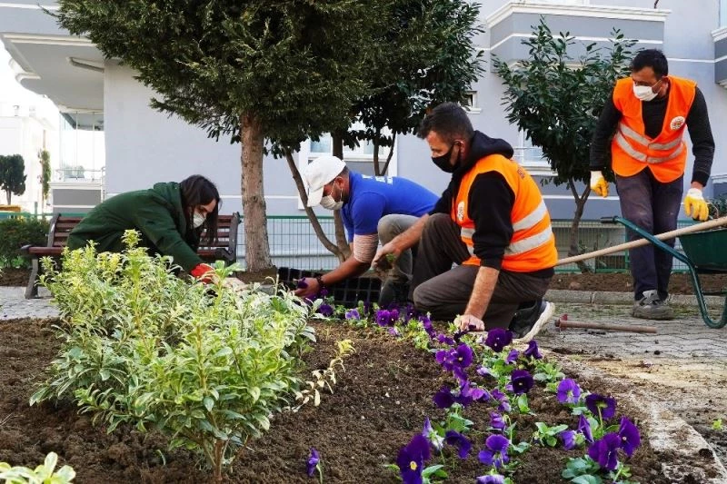 Atakum Belediyesi kendi serasında 200 bin çiçek ve çalı üretti
