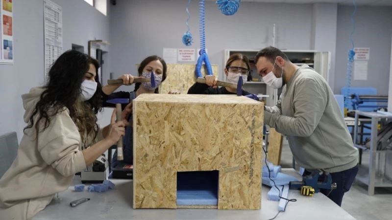Kapadokya Üniversitesi Pati Topluluğu sokak hayvanlarına kulübe yapıyor
