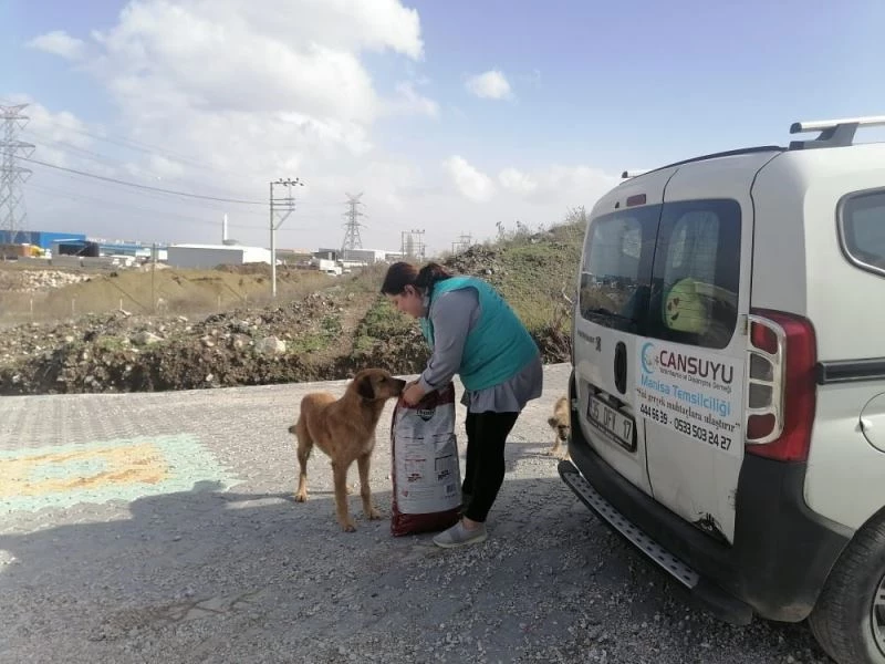 Sadece insanlara değil sokak hayvanlarına da cansuyu oluyorlar
