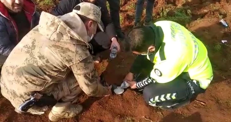 Feci kazada minibüsün altında kalan güvercinleri güvenlik güçleri kurtardı
