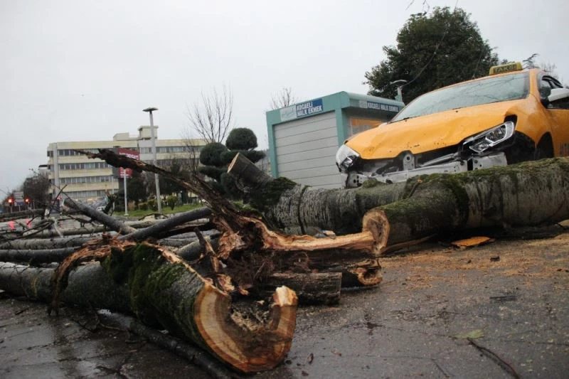 Fırtınanın devirdiği ağaç park halindeki taksileri parçaladı
