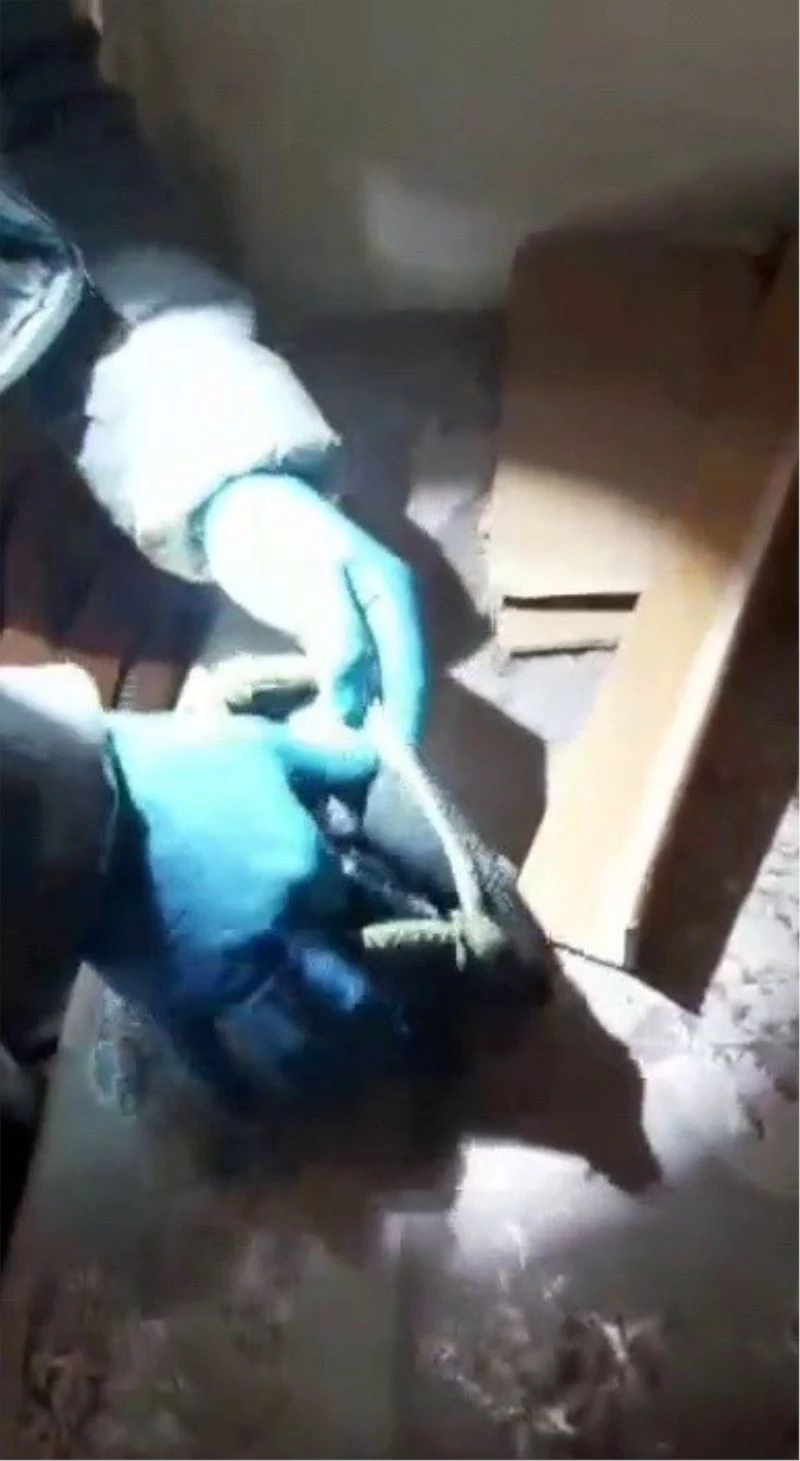 Çöp konteynerinde mahsur kalan kedi kurtarıldı
