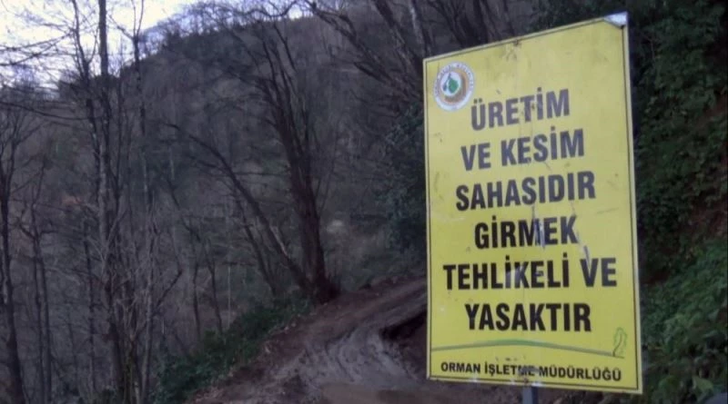 Köylü ormanına sahip çıktı, usulsüz kesim durduruldu
