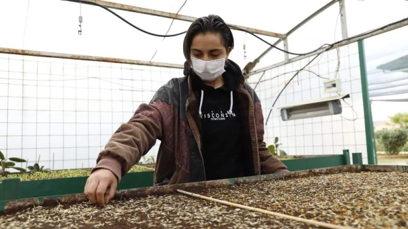 Sevgi çiçeklerini kendileri yetiştiriyor
