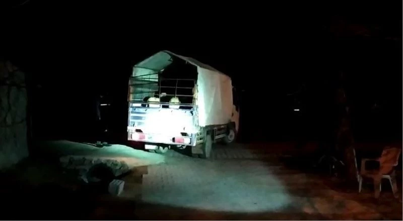 Şehit annesi çalınan kuzu ve koyunlarına kavuştu
