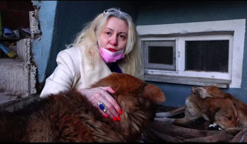 Yavru köpekler için bahçesine kulübe yaptırdı, bakımını üstlendi
