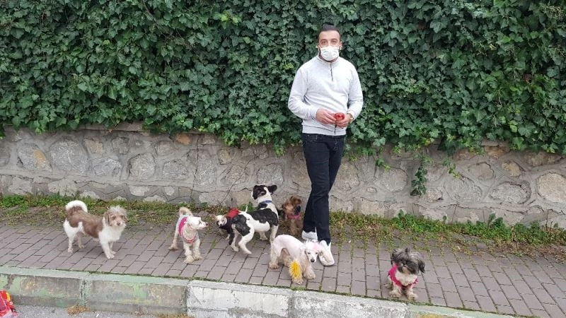 (Özel) Köpeklerin efendisi
