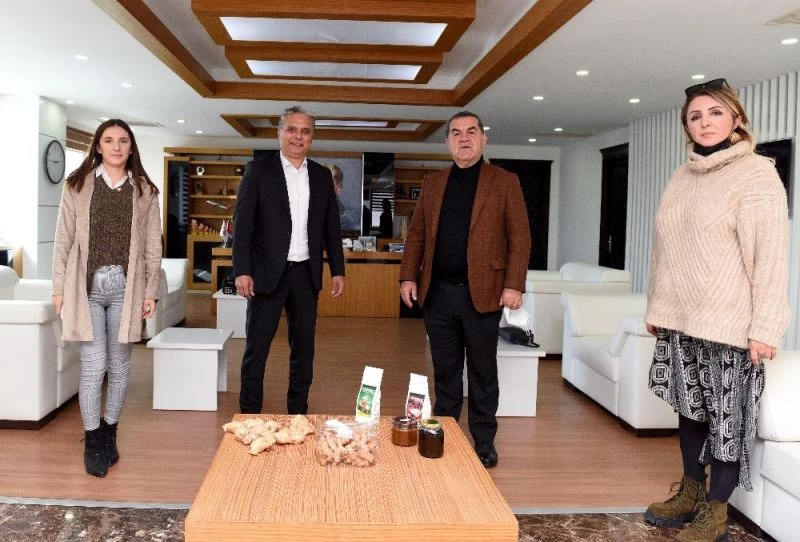 Muratpaşa’da şifa kaynağı zencefil üretimi başlıyor
