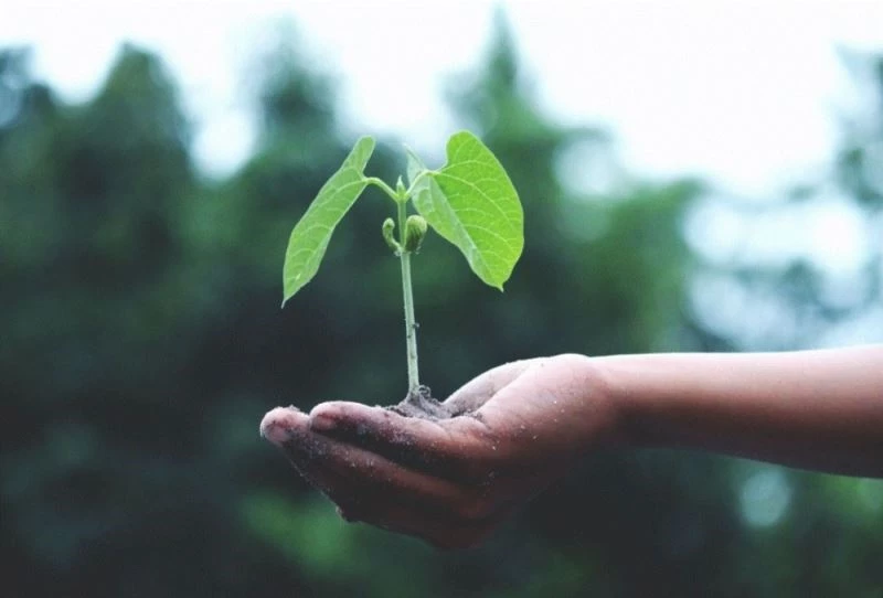 Siemens Energy ve BASF düşük karbon salınımlı üretim için güç birliği yapıyor
