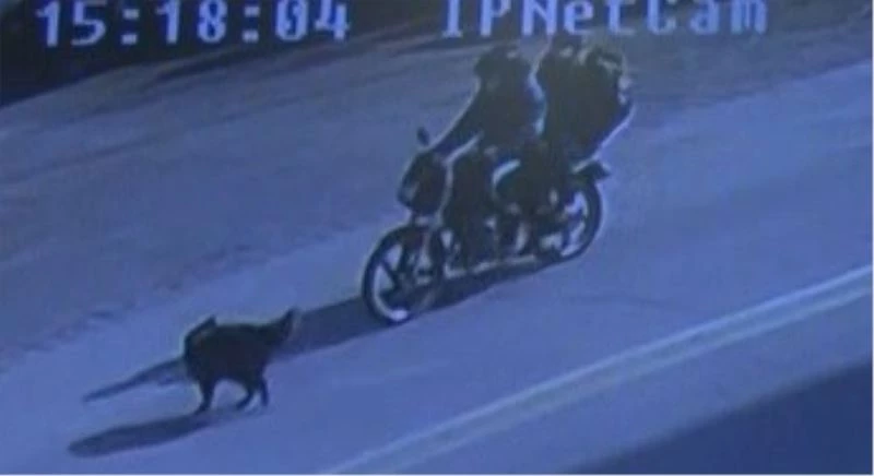 Dikkatsiz sürücü mahallelinin canını yaktı
