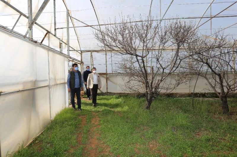 Tütüncü: “Üreticilerimiz yeniliklerle Kepez’e değer katıyor”
