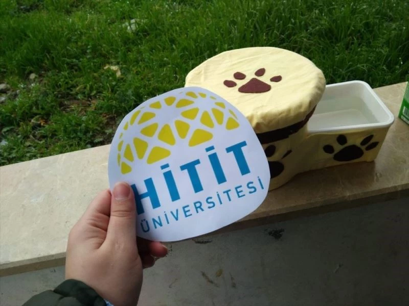 Üniversite öğrencileri sokaktaki dostlarımızı unutmadı
