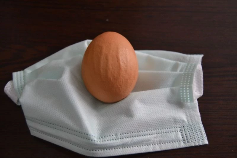 Yumurta üzerindeki “Allah” ve “Muhammed” lafzı görenleri şaşırtıyor
