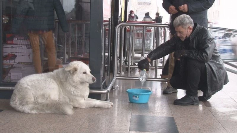 Hayvanseverlerden Yenimahalle’de belediyeye tepki
