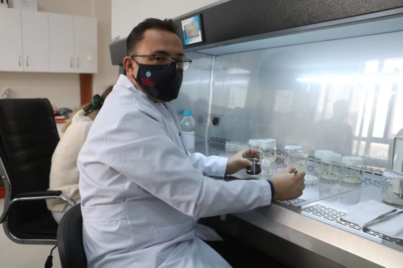 Kenevir tarımı yapmayı planlayan çiftçiler dikkat
