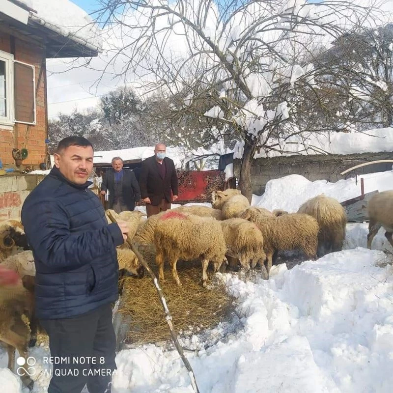 Ağıl çöktü koyunlar telef oldu
