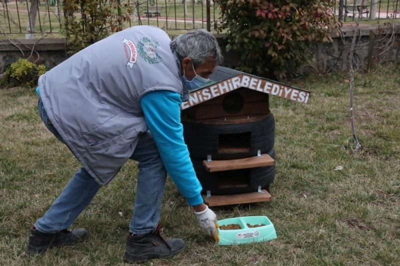 Yenişehir Belediyesi çöp konteynırı üretiminde sonra kedi evi yapmaya başladı
