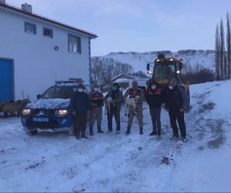 Çatısı çöken ahırdaki hayvanları jandarma ekipleri kurtardı
