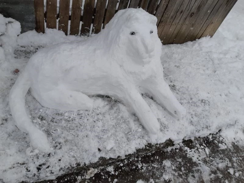 Kardan gelin yapıp, kına gecesi düzenlediler
