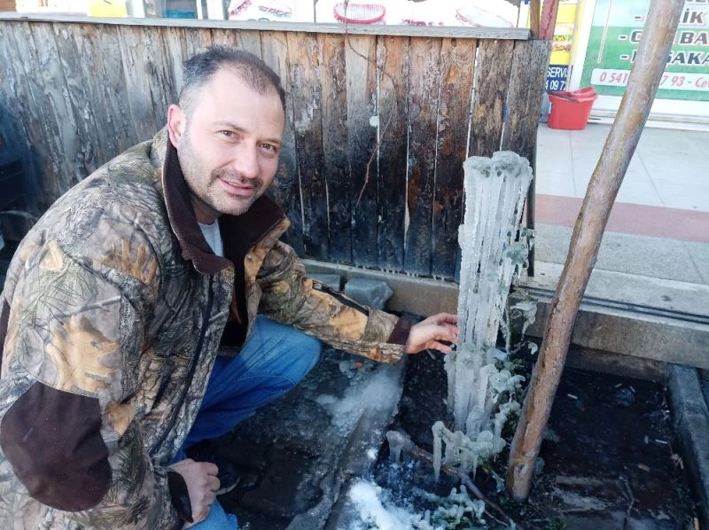 Küçükkuyu’da fidanlar buz tuttu
