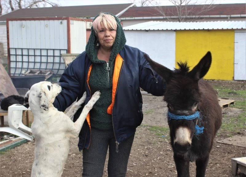 Sucuk olmaktan kurtardığı eşeğe gözü gibi bakıyor
