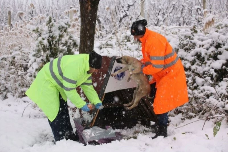 Işık: “Kara kışta can dostlarının yanındayız”
