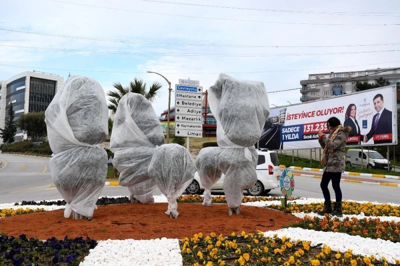 Ağaçları dona karşı elyafla korudular
