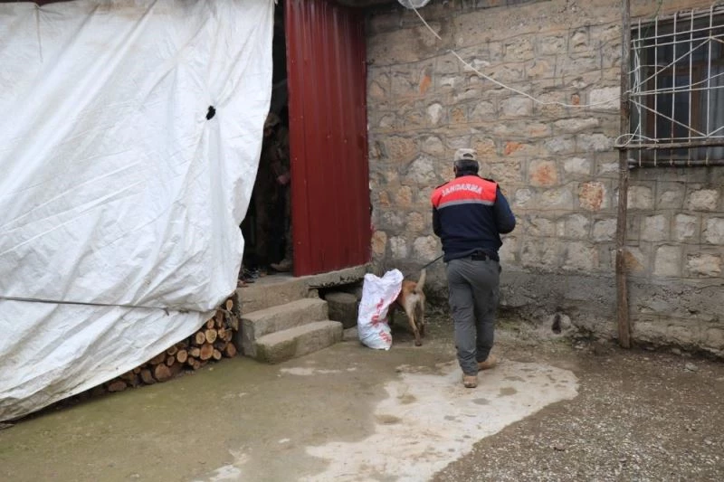 Diyarbakır’da dev uyuşturucu operasyonu: 1 milyon 258 bin kök kenevir ve 1 ton 734 kilo uyuşturucu ele geçirildi
