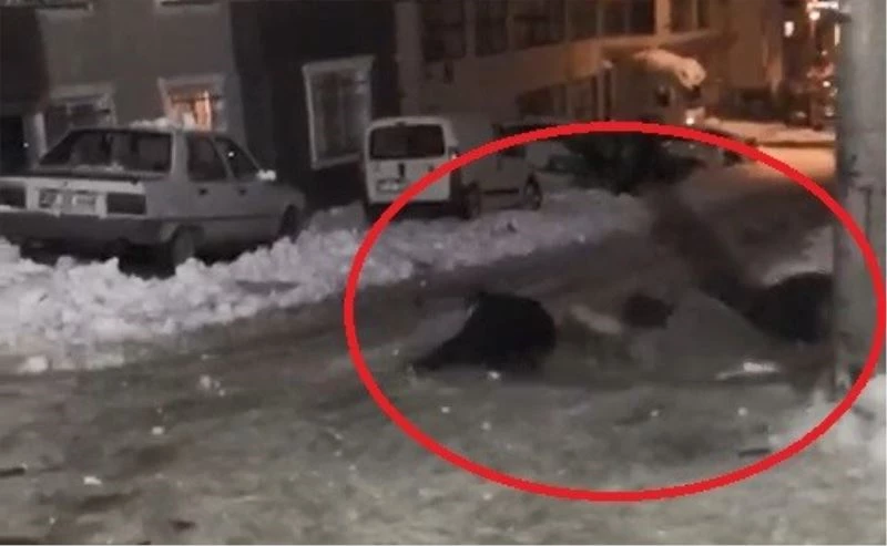 Karda poşetle kayan gençlerin eğlencesi kötü bitti
