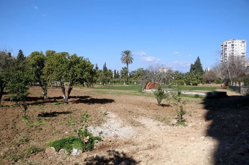 Portakal ağaçlarını kesip çim ektiler, uydu fotoğraflarıyla tespit edildiler

