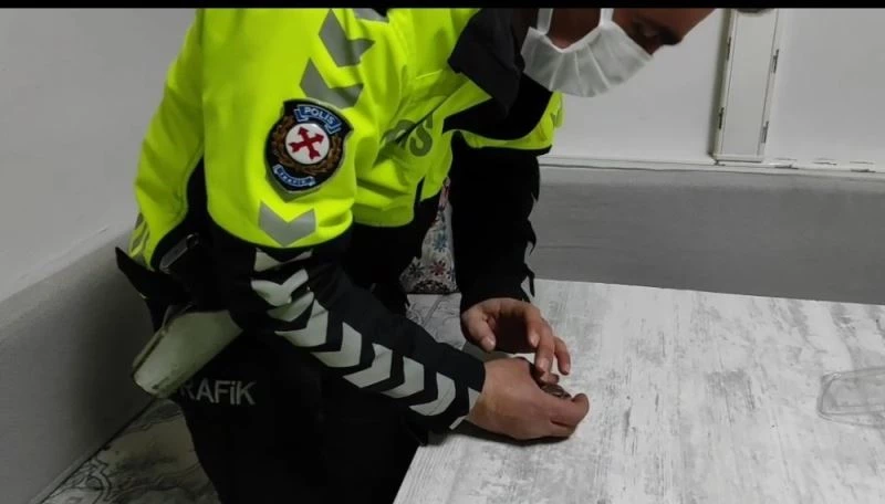 Donmak üzere olan serçeye polis şefkati
