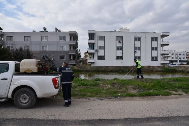 Ceyhan’da sinekle mücadele başladı
